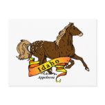 Idaho Apaloosa