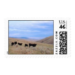 Idaho Black Angus Cattle Postage Stamps
