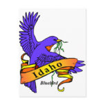 Idaho Bluebird