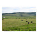 Idaho Fields posters