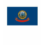 idaho, flag, t-shirt
