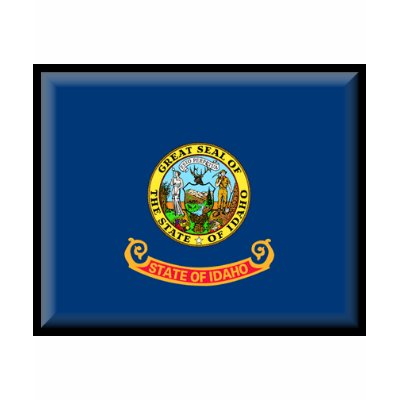 Idaho Flag Tshirts by jacinto888