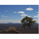 Idaho Lavafields