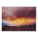 Idaho Storm Cloud cards