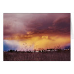 Idaho Storm Cloud