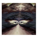 Idas posters