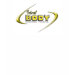 Ladies Baby Doll (Fitted)