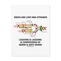 Ideas Are Like DNA Strands Leading & Lagging Postcard
