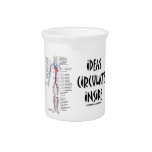 Ideas Circulate Inside (Circulatory System) Pitchers