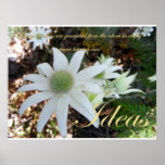 Ideas Print