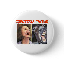 IDENTICAL TWINS PIN