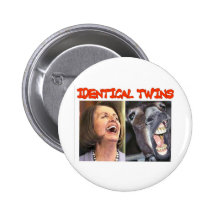 IDENTICAL TWINS PIN