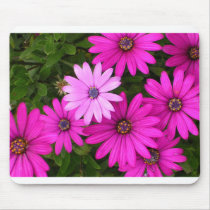 Identity (mousepad)