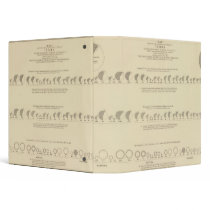 Idiots, Statistical US Lithograph 1870 Binders
