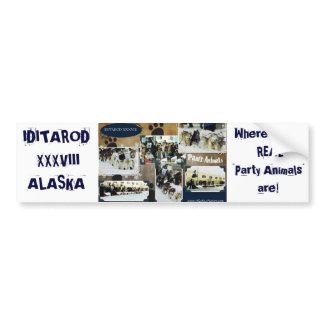 Iditarod 2010 bumpersticker