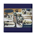 Iditarod 2010 magnet