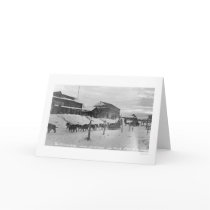 Iditarod Alaska Birdseye 1914 cards