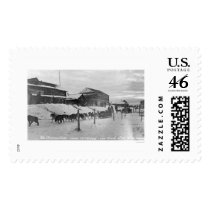 Iditarod Alaska Birdseye 1914 Postage