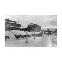 Iditarod Alaska Birdseye 1914 posters