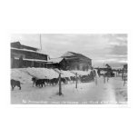 people, events, culture, iditarod, alaska, poster,