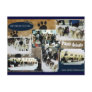 Iditarod  Postcard