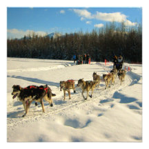 Iditarod Trail Sled Dog Race Invites