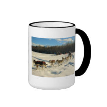 Iditarod Trail Sled Dog Race Mug