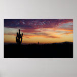 IDKP Arizona cactus in the sunset posters