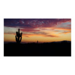 IDKP Arizona cactus in the sunset Print