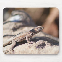 IDKP Brown lizard mouse pad