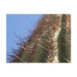 IDKP Thorny cactus post card postcards