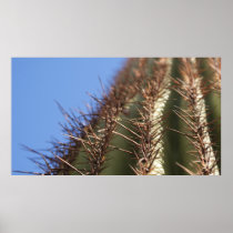 IDKP thorny cactus poster