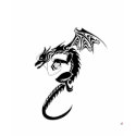 iDragon t-shirts