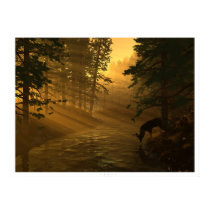 Idyll posters