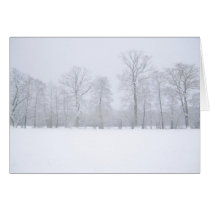 Idyllic card