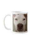 If a dog will not come to you... MUG by danaandcaleb If a dog will not come to you... MUG