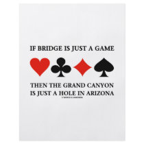 If Bridge Is Just A Game Then Grand Canyon Hole Flyer