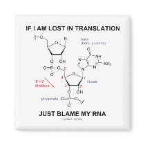If I Am Lost In Translation Just Blame My RNA Magnets