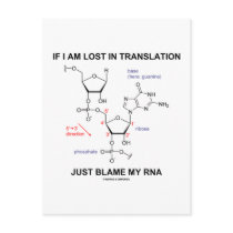 If I Am Lost In Translation Just Blame My RNA Post Card