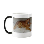 If I die before you do I will sit and wa... Coffee Mugs
