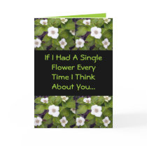 If I Had A Single Flower cards