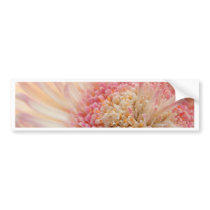 If I Were A Painter bumper stickers by CateBolt If I Were A Painter bumper stickers
