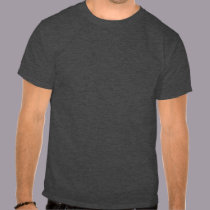 If idiots could fly, churches would be airports t-shirts