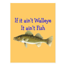 if it aint walleye aint fish post cards