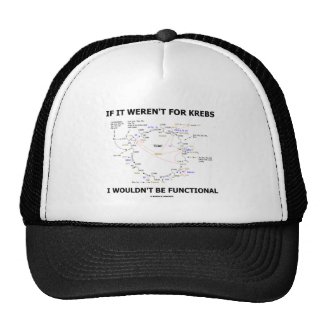 If It Weren't For Krebs I Wouldn't Be Functional Mesh Hat