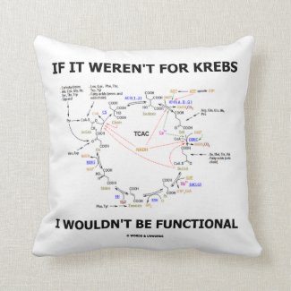 If It Weren't For Krebs I Wouldn't Be Functional Pillow