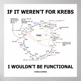 If It Weren't For Krebs I Wouldn't Be Functional Poster
