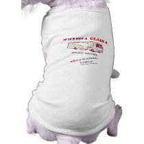 If Not A Class A RV? pet clothing