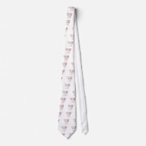 If Not A Class A RV? ties