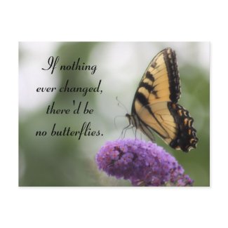 If nothing changed...Butterfly Quote & Photography Post Card